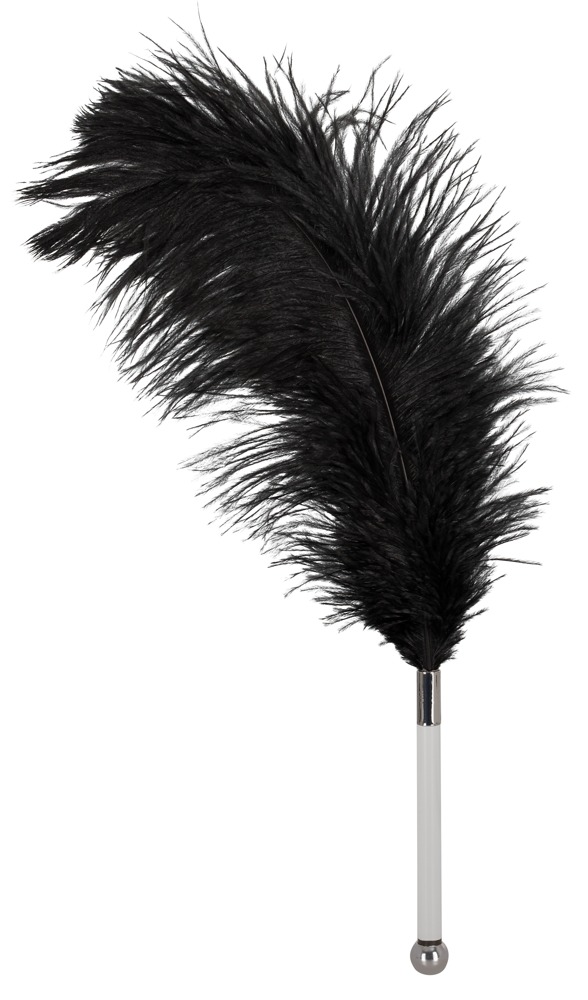 Bad Kitty Feather black acrylic plunksnelė seksui