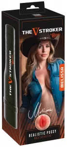 Rebel V-Stroker Melissa