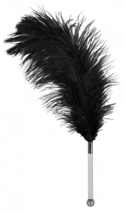 Bad Kitty Feather black acrylic