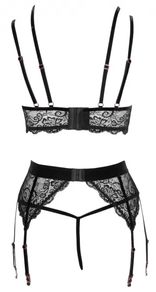 Abierta Fina Bra Set L Seksuali liemenėlė &ndash; nuotrauka 11