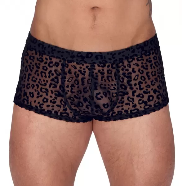 Noir M.Pants leo 2XL seksualios vyri&scaron;kos trumpikės &ndash; nuotrauka 2