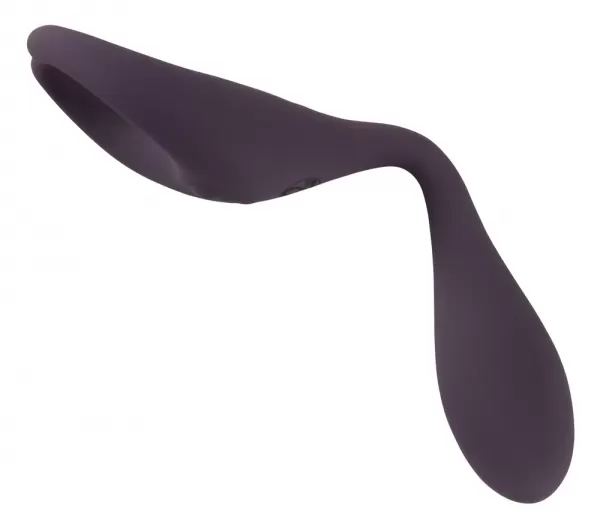 Couples Choice cc rc Couple's Vibr vibratorius poroms &ndash; nuotrauka 9