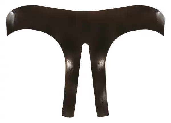 Late X Latex Briefs black S-L Seksuali lateksinė apranga &ndash; nuotrauka 6