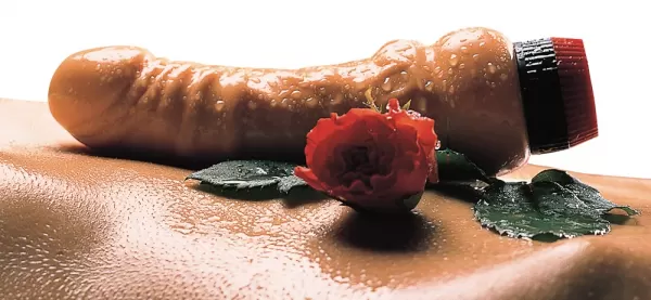 Orion empfiehlt Natural Vibrator tikrovi&scaron;kas vibratorius &ndash; nuotrauka 3