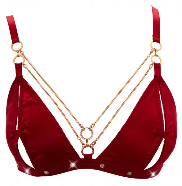 Abierta Fina Bra and Suspender Set Red xl Seksuali liemenėlė &ndash; nuotrauka 9