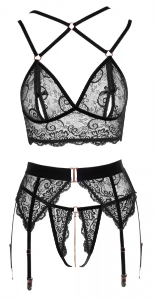 Abierta Fina Bra Set L Seksuali liemenėlė &ndash; nuotrauka 9