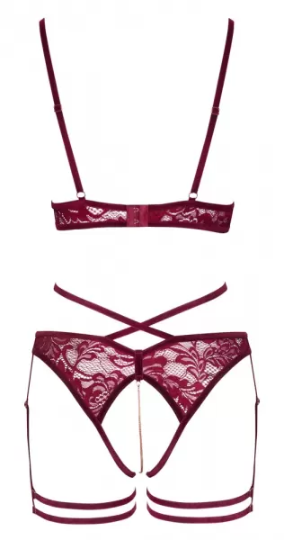 Abierta Fina Suspender Set red L Seksuali liemenėlė &ndash; nuotrauka 10
