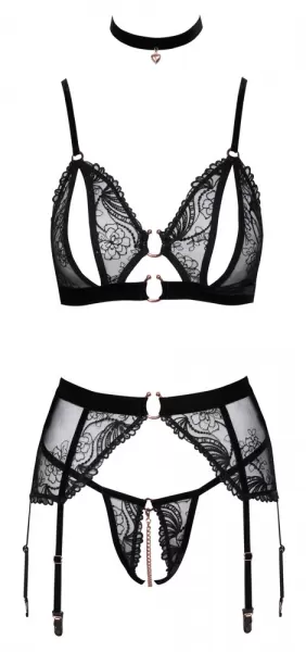 Abierta Fina Bra Suspender Set xl Seksuali liemenėlė &ndash; nuotrauka 8