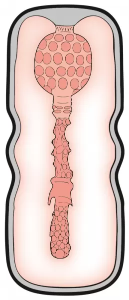 Stroker Anal Style Masturbatorius &ndash; nuotrauka 10