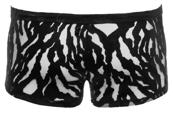 Svenjoyment M. Pants S seksualios vyri&scaron;kos trumpikės &ndash; nuotrauka 7