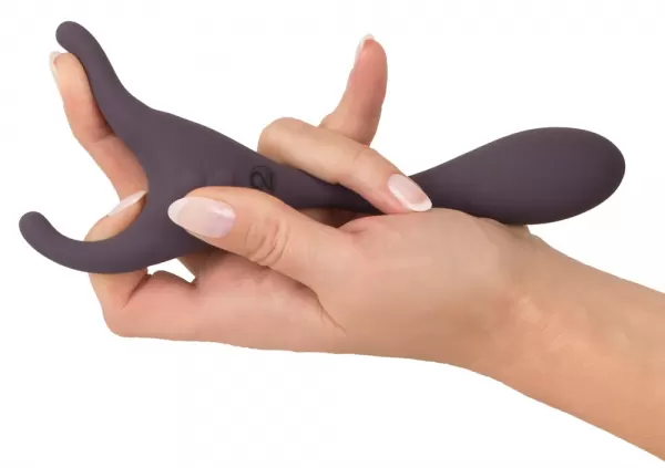 Couples Choice cc rc Couple's Vibr vibratorius poroms &ndash; nuotrauka 6