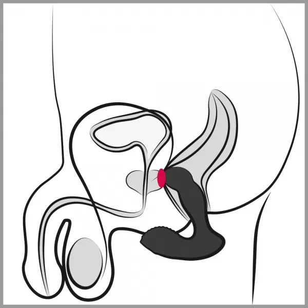 Rebel rc Prostate Massager Analinis kai&scaron;tis &ndash; nuotrauka 13