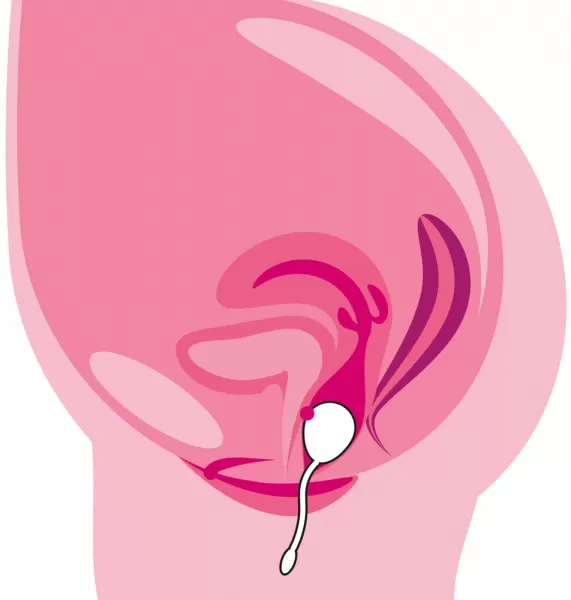 Vaginal Trainers Love Egg Vibruojantis kiau&scaron;inėlis &ndash; nuotrauka 9