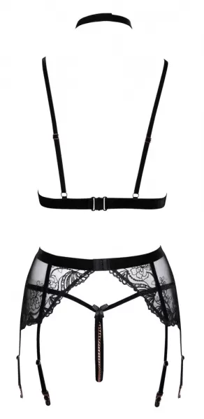 Abierta Fina Bra Suspender Set S Seksuali liemenėlė &ndash; nuotrauka 9