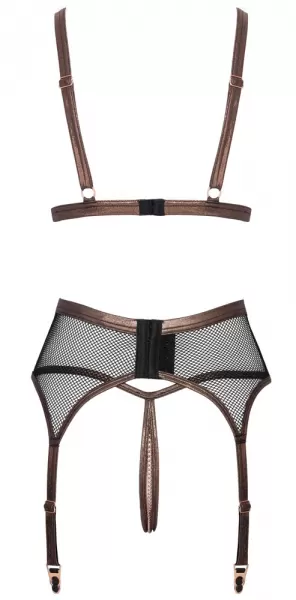 Abierta Fina Bra Suspender Set Net xl Seksuali liemenėlė &ndash; nuotrauka 9