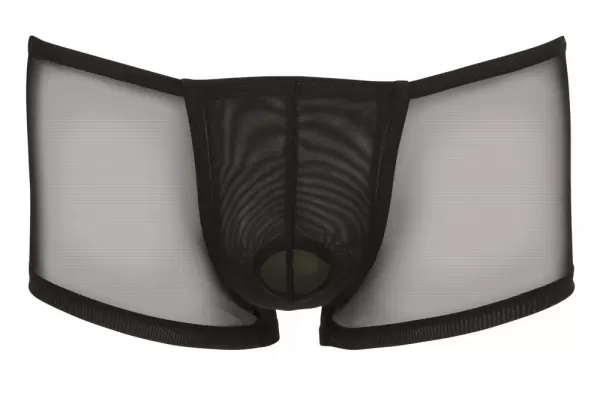 Svenjoyment Men's Pants S seksualios vyri&scaron;kos trumpikės &ndash; nuotrauka 5