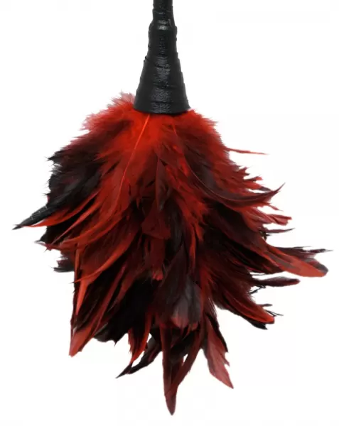 Fetish Fantasy ffs Frisky Feather Duster plunksnelė seksui &ndash; nuotrauka 2