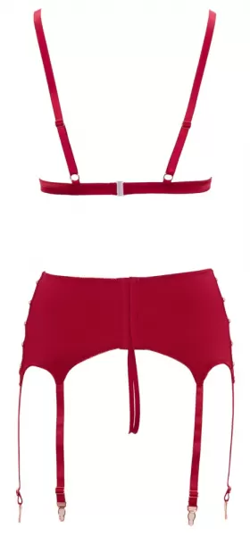 Abierta Fina Bra and Suspender Set Red xl Seksuali liemenėlė &ndash; nuotrauka 12