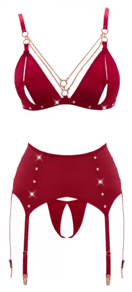 Abierta Fina Bra and Suspender Set Red L Seksuali liemenėlė &ndash; nuotrauka 8