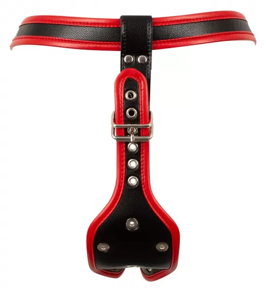 Bad Kitty harn S/M Strap-on dildo &ndash; nuotrauka 13