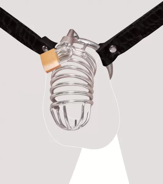 Fetish Fantasy Extreme ffe Extreme Chastity Belt penio narvas &ndash; nuotrauka 3