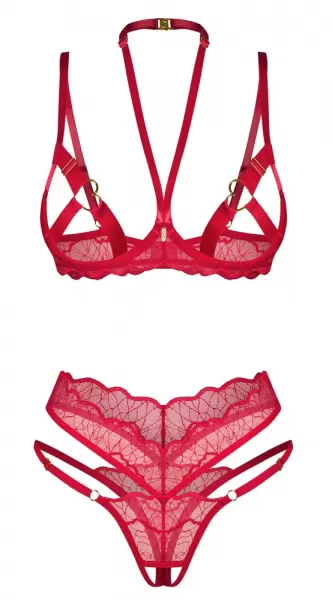 Obsessive obs Bra Set L/XL Plius dydžio seksuali apranga &ndash; nuotrauka 2