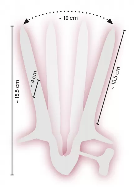 Sextreme Vaginal Speculum skėtiklis &ndash; nuotrauka 6